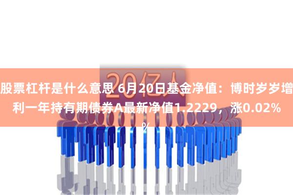 股票杠杆是什么意思 6月20日基金净值：博时岁岁增利一年持有期债券A最新净值1.2229，涨0.02%