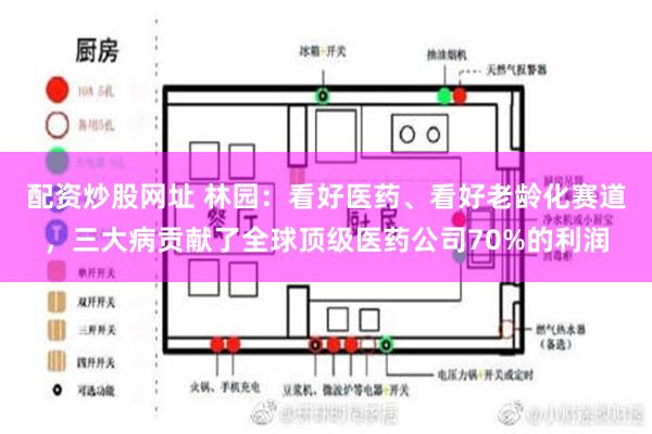 配资炒股网址 林园：看好医药、看好老龄化赛道，三大病贡献了全球顶级医药公司70%的利润