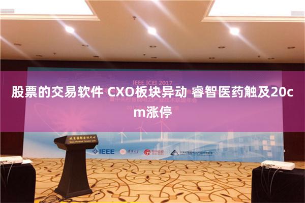 股票的交易软件 CXO板块异动 睿智医药触及20cm涨停