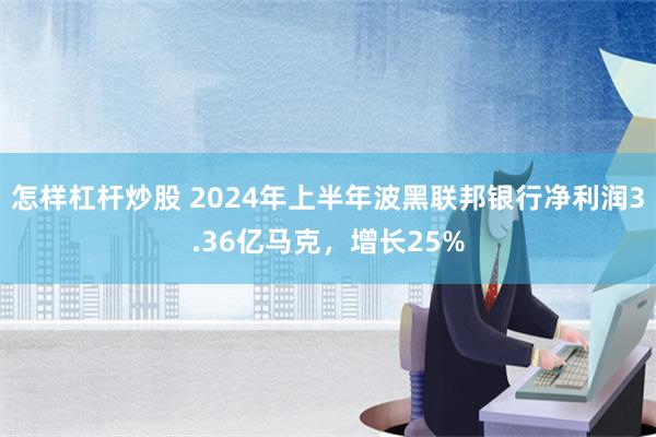 怎样杠杆炒股 2024年上半年波黑联邦银行净利润3.36亿马克，增长25%