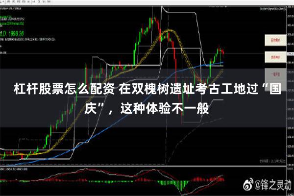 杠杆股票怎么配资 在双槐树遗址考古工地过“国庆”，这种体验不一般