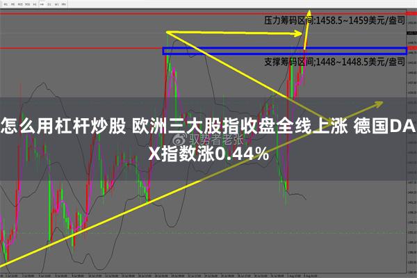 怎么用杠杆炒股 欧洲三大股指收盘全线上涨 德国DAX指数涨0.44%