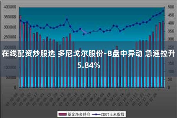 在线配资炒股选 多尼戈尔股份-B盘中异动 急速拉升5.84%