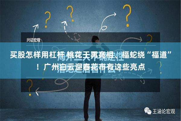 买股怎样用杠杆 桃花王再亮相、福蛇绕“福道”！广州白云迎春花市有这些亮点