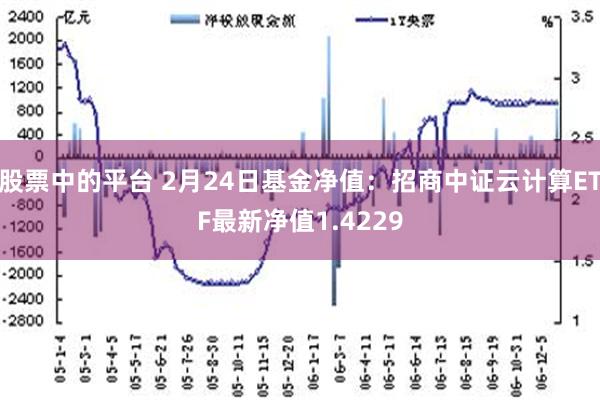 股票中的平台 2月24日基金净值：招商中证云计算ETF最新净值1.4229